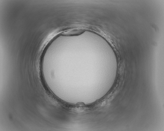 X0000115440103200911251254