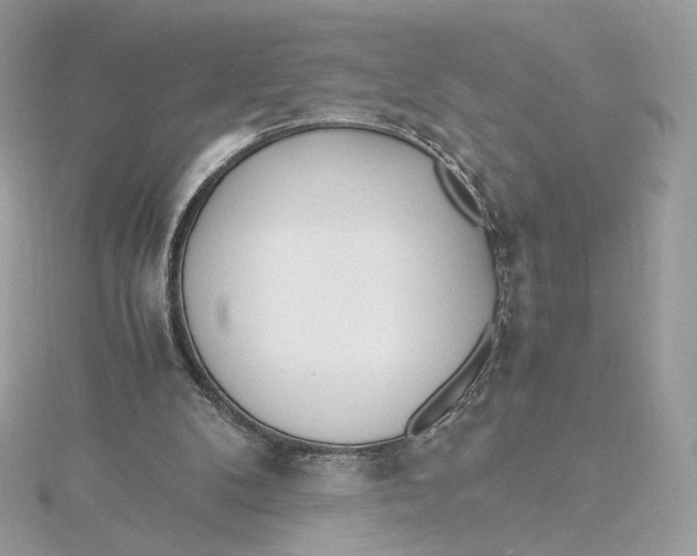 X0000115440104200911251254