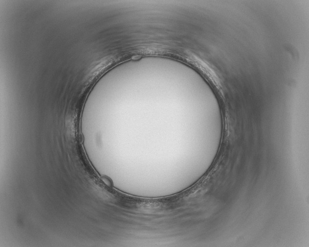 X0000115440105200911251254