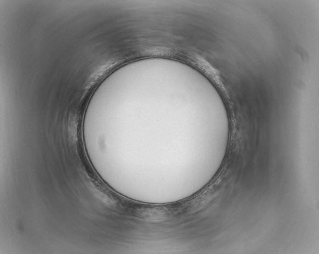 X0000115440106200911251254