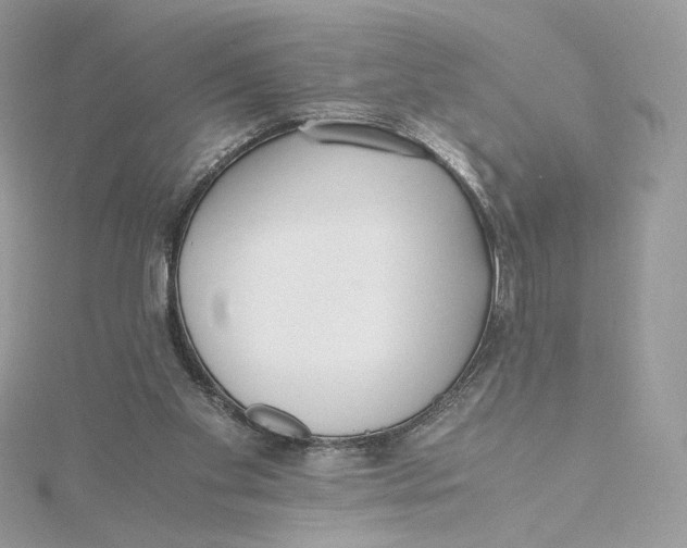 X0000115440109200911251254