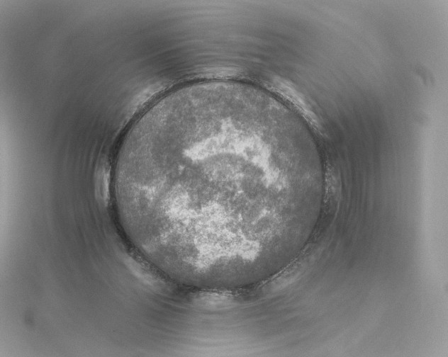 X0000115440110200911251254