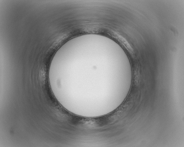 X0000115440113200911251254