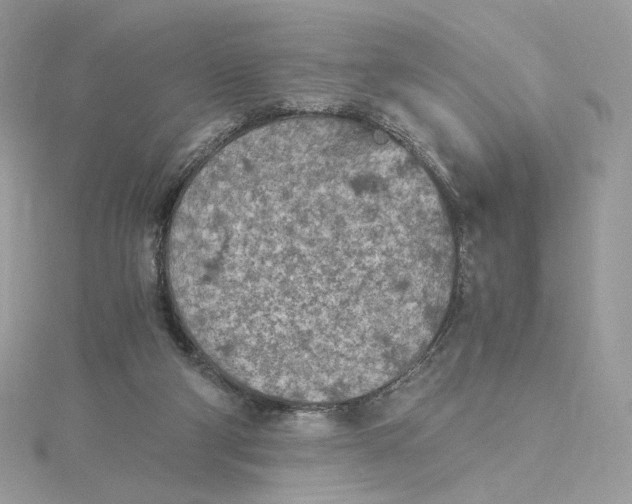 X0000115440114200911251254