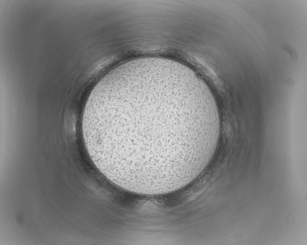 X0000115440115200911251254