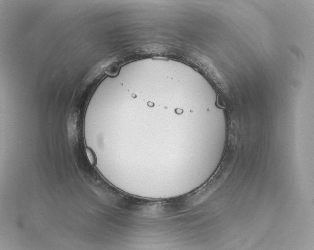 X0000115440116200911251254