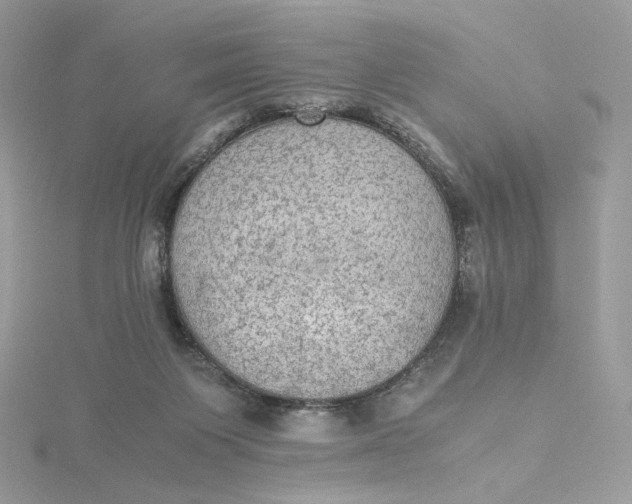 X0000115440119200911251254