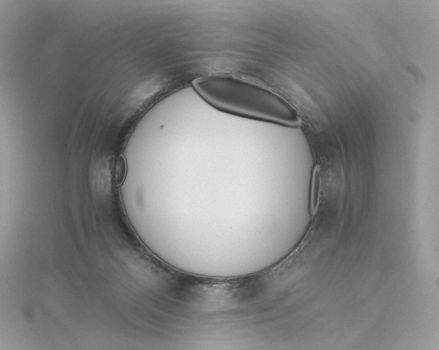 X0000115440120200911251254