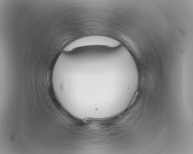 X0000115440121200911251254