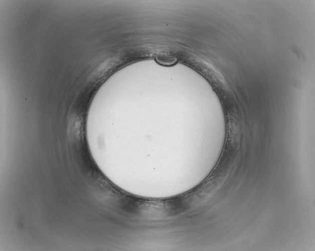 X0000115440123200911251254