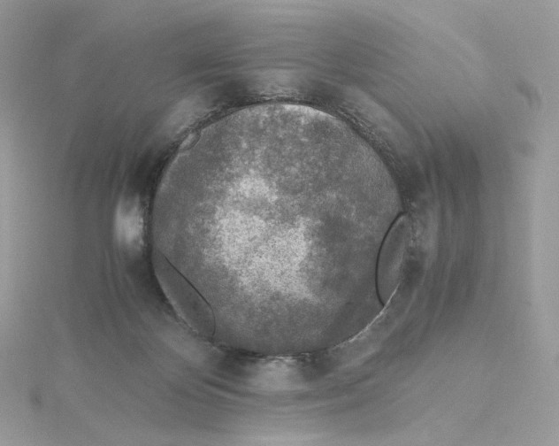 X0000115440124200911251254