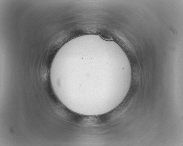 X0000115440125200911251254