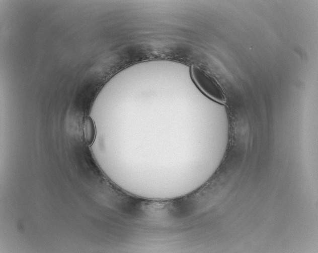 X0000115440129200911251254