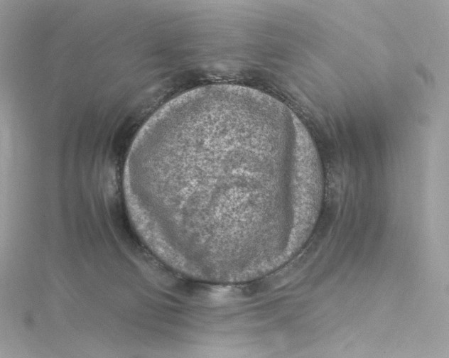 X0000115440130200911251254