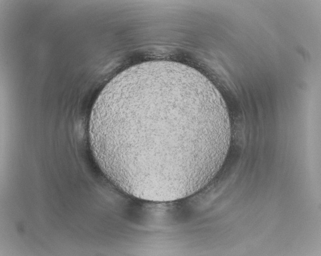 X0000115440131200911251254