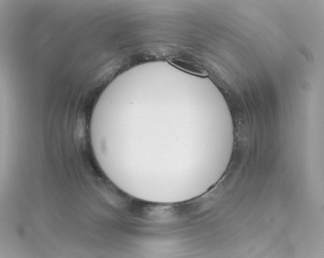 X0000115440132200911251254