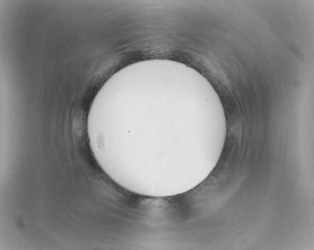 X0000115440133200911251254