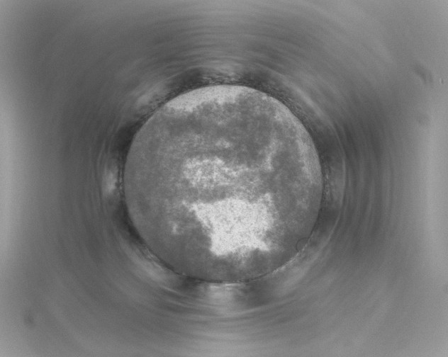 X0000115440134200911251254