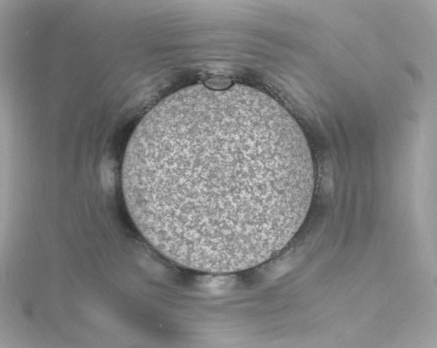 X0000115440135200911251254