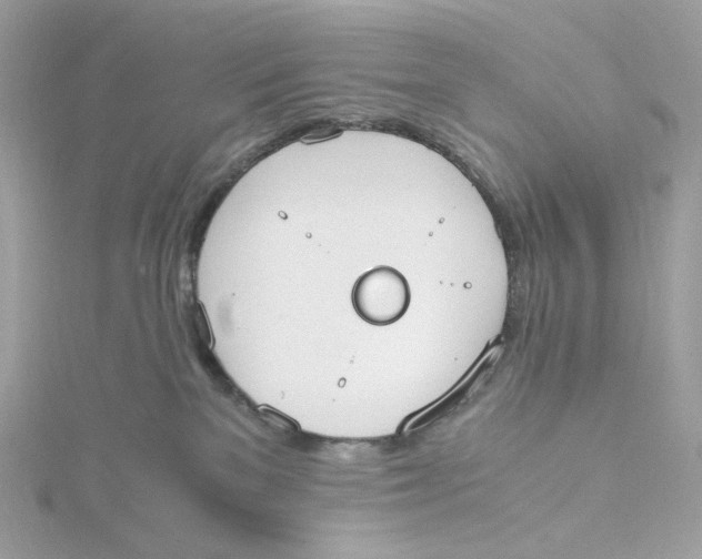 X0000115440137200911251254