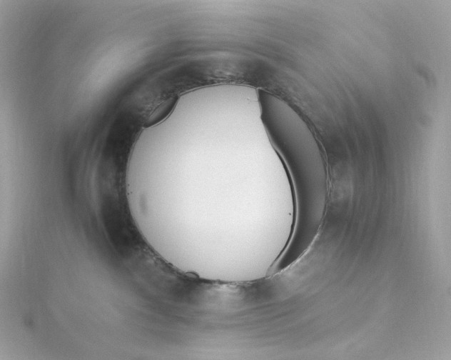 X0000115440140200911251254