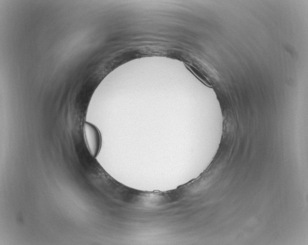 X0000115440141200911251254