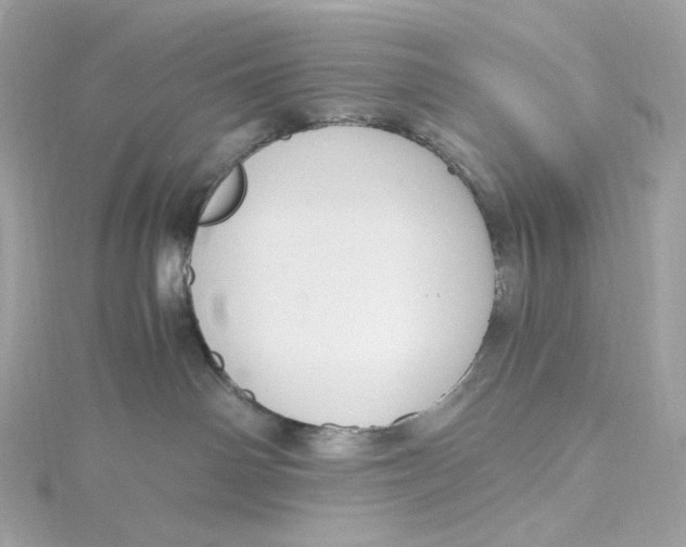 X0000115440142200911251254