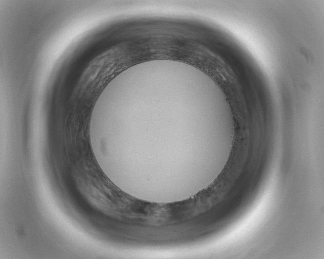 X0000115440143200911251254