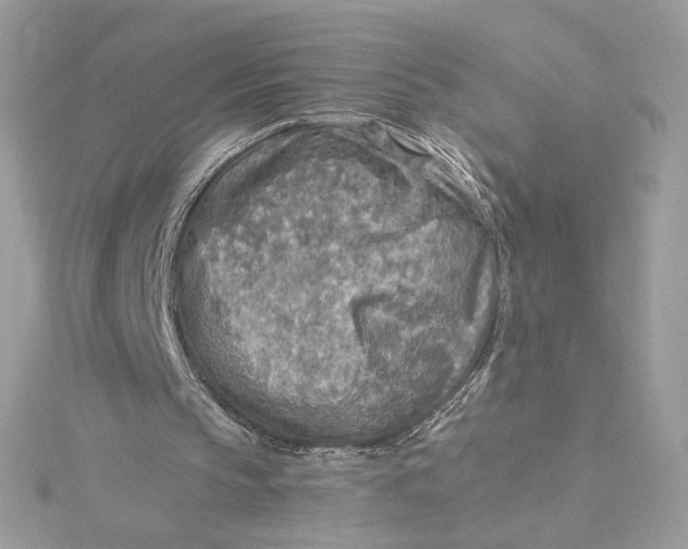 X0000115440145200911251253