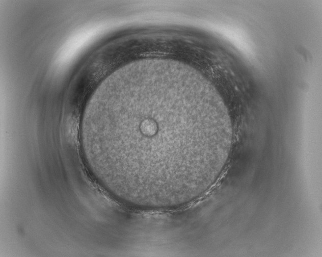 X0000115440146200911251253