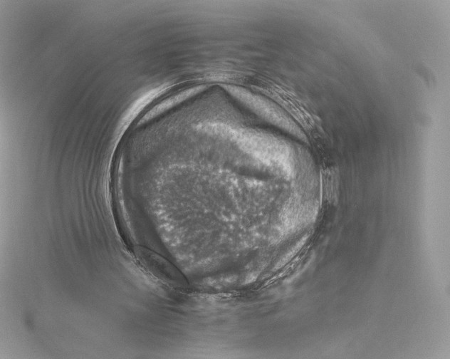 X0000115440147200911251253