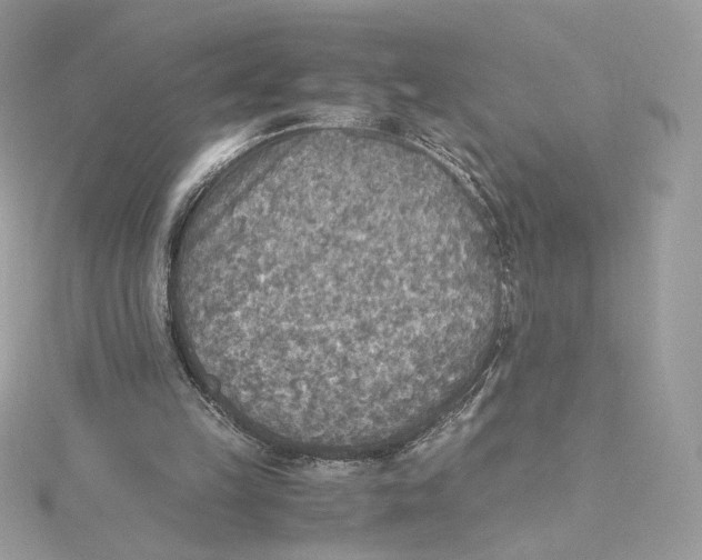 X0000115440149200911251253