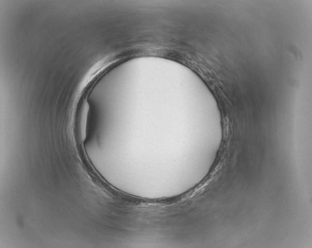 X0000115440150200911251253