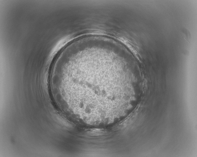 X0000115440151200911251253