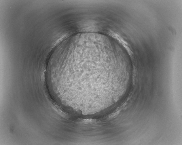 X0000115440153200911251253