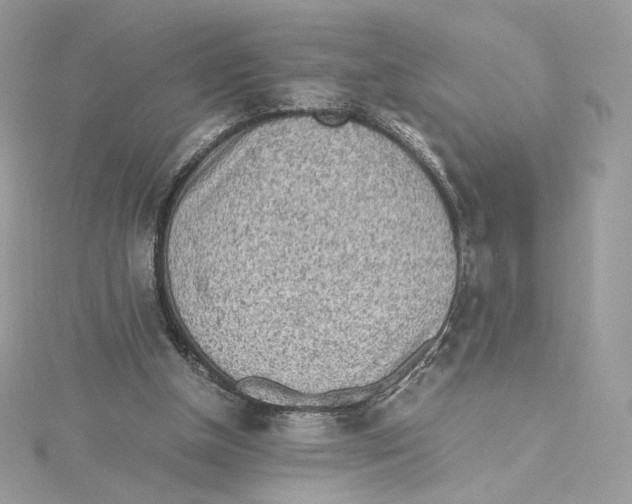 X0000115440154200911251253