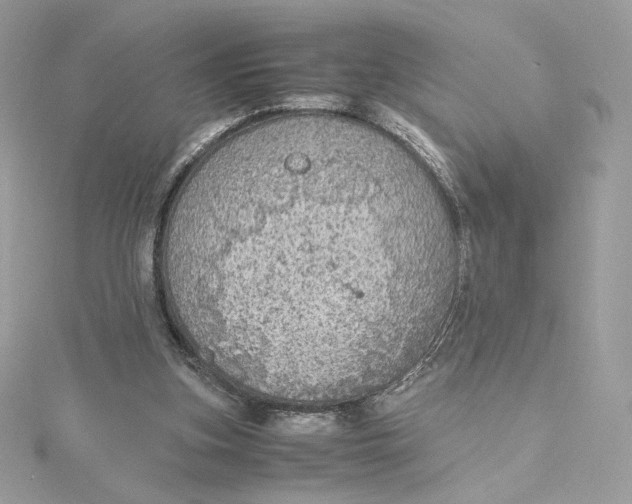 X0000115440155200911251253