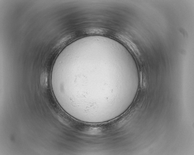 X0000115440157200911251253