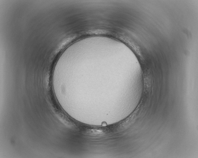 X0000115440159200911251253