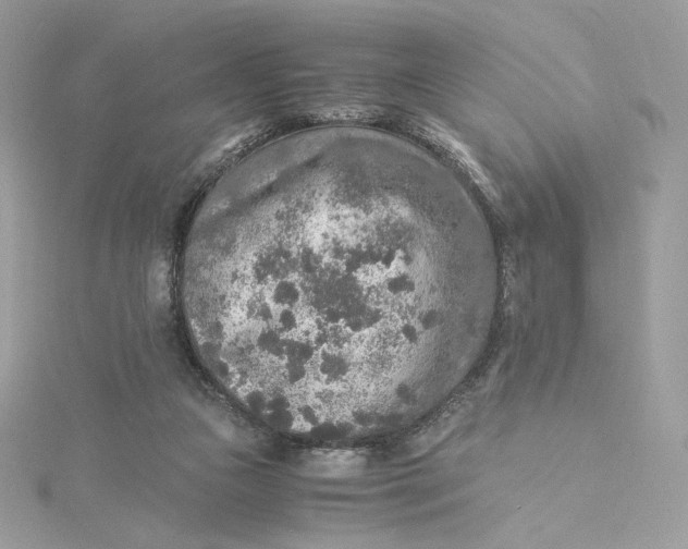 X0000115440161200911251253