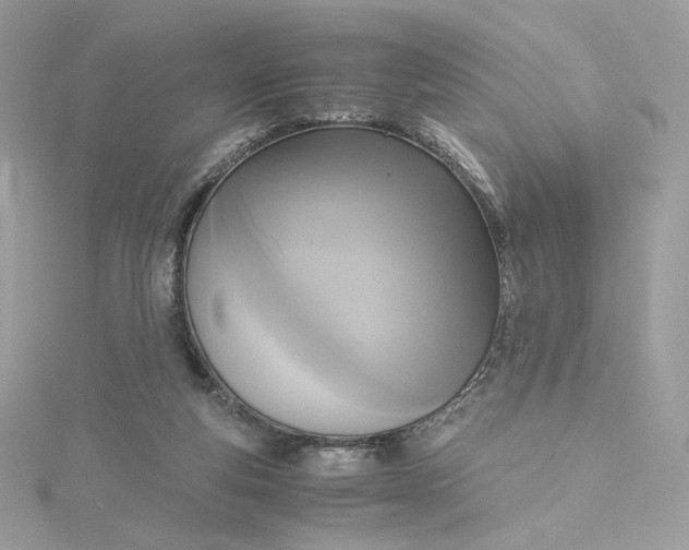 X0000115440163200911251253