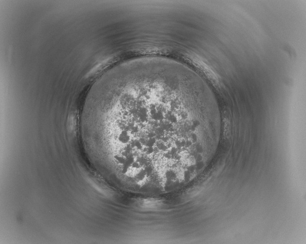 X0000115440165200911251253