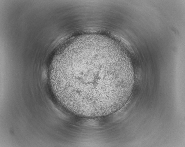 X0000115440166200911251253