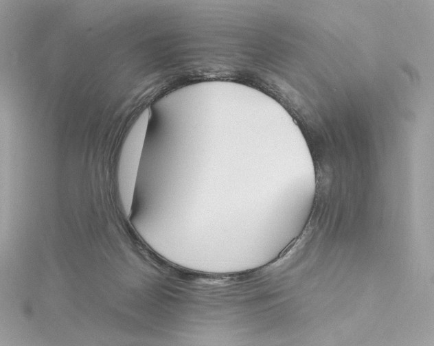 X0000115440170200911251253