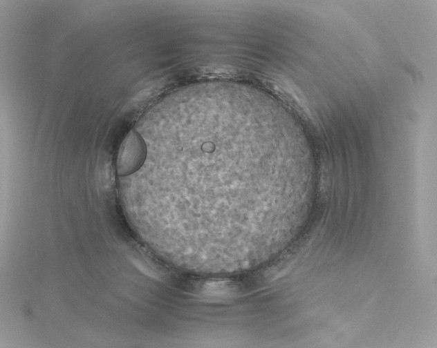 X0000115440173200911251253