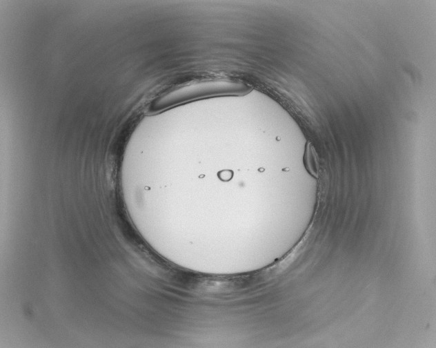 X0000115440174200911251253