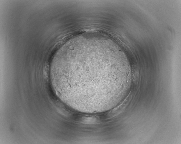 X0000115440175200911251253