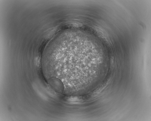 X0000115440177200911251253