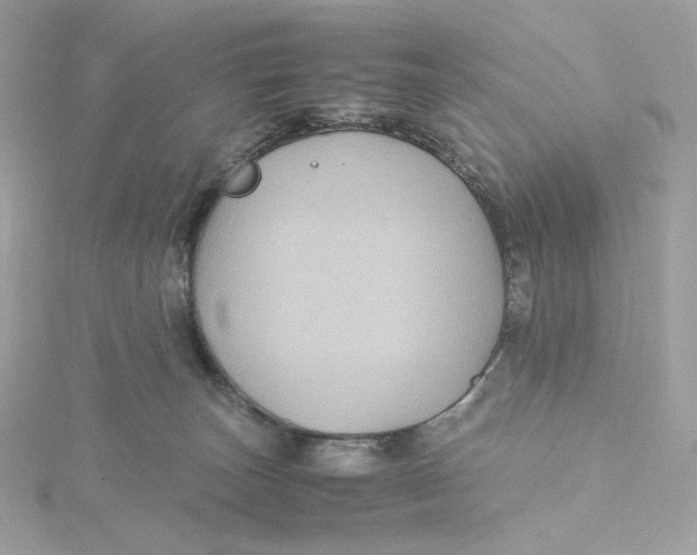 X0000115440179200911251253