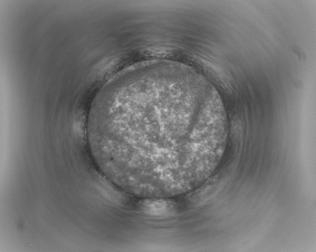 X0000115440181200911251253